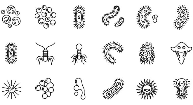 Line illustrations of various microorganisms and bacteria on a white background