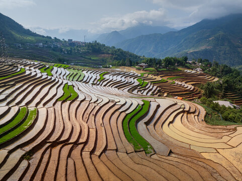 Water Filled Rice Terraces Across the Mountainous Landscape