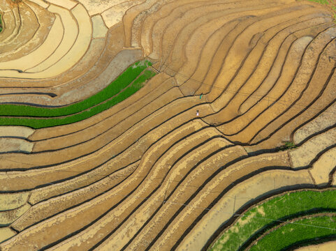 Water-Filled Terraced Rice Fields Sweeping Across Sapa