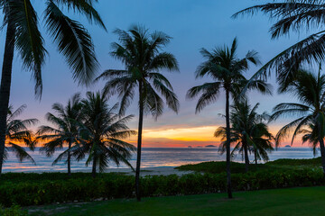 Fototapeta premium Silhouetted palm trees frame a tropical beach sunset as warm orange and pink hues reflect on the calm ocean, creating a peaceful, romantic dusk scene for travel, relaxation and scenic backgrounds