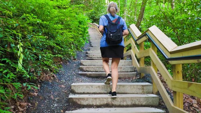 Female Hiker Ascending The Steep Stairway on the Mongo Falls Trail,  Great Smoky Mountains National Park, North Carolina, USA