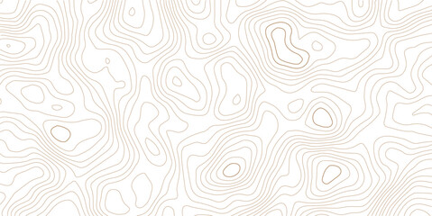 Subtle beige abstract topographic map contour lines background pattern with elevation map geographic lines abstract texture cartography background © MD