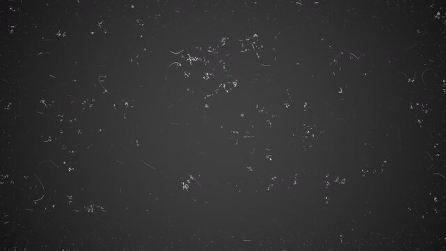 Vintage Film Damage Overlay with Heavy Dust, Fine Hairline Scratches and Aged Texture for Old Video Effects