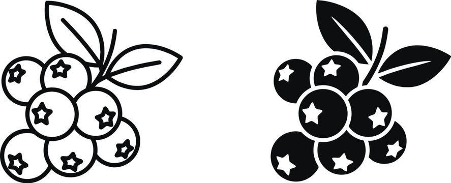 Blueberry cluster with leaves black and white vector illustration