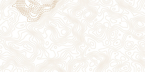 Modern abstract topographic map elevation contour lines background graphic template with texture pattern geographic map line pattern vector background © MD