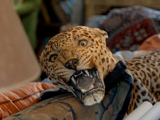 close up of leopard skin replica © Liam