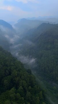 Aerial view of a lush, misty valley in the mountains featuring dense tropical forest and low-hanging clouds in Bandung, West Java, Indonesia.