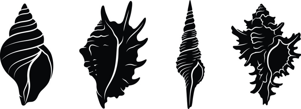 Seashell black silhouette vector set. Tropical sea shell icons for summer beach branding. Collection of 4 marine snail shell illustrations.