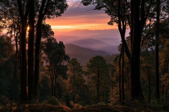 Silhouetted trees and distant ridges bathed in sunset colors