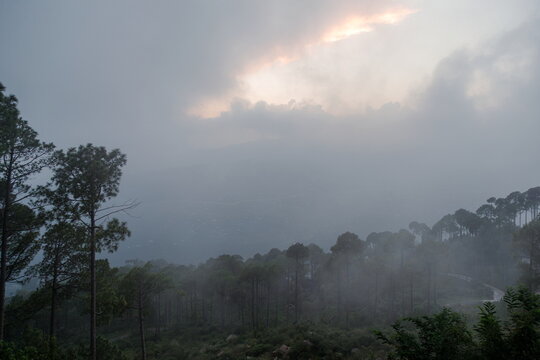View of misty pine forest covering the mountainous landscape of Murree under a cloudy sky in Murree, Punjab, Pakistan.