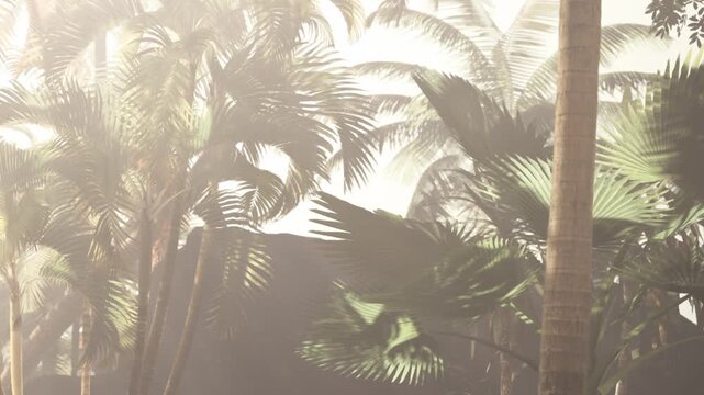 Sunlight filters through green palm leaves in a tropical area. The soft light creates shadows among the plants. It is a warm day with clear skies and vibrant nature surrounding the space.