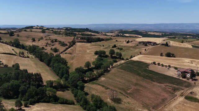 Aerial of rolling golden fields trees farmhouses and distant hills under clear blue summer sky