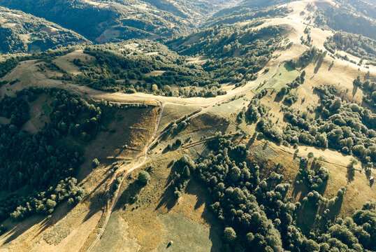 High aerial view of rolling mountain countryside with winding dirt tracks, scattered trees, meadows and forest illuminated by late afternoon sunlight.