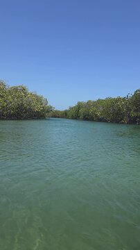​Sailing Through Emerald Water Channel Surrounded by Dense Mangrove Forest in Montecristi National Park, Dominican Republic, Vertical 4K Video
