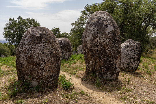 View of the ancient standing stones at Almendres Cromlech surrounded by green grass and trees in Nossa Senhora de Guadalupe, Distrito de Evora, Portugal.