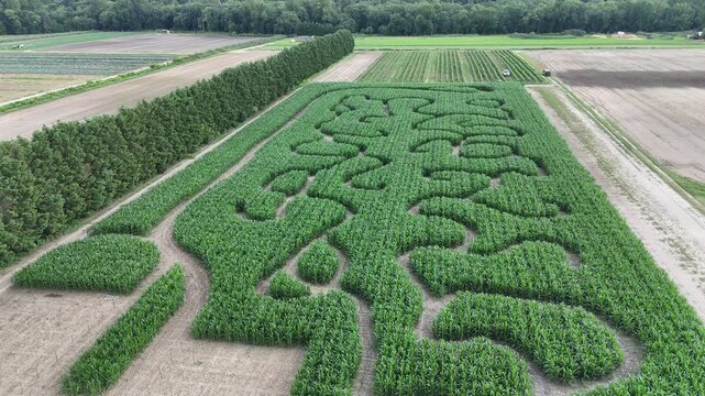 Aerial drone flyover of green corn maze on New Jersey farm