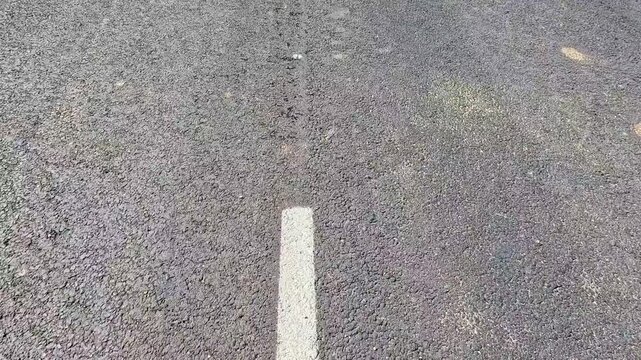 A straight white line marking runs along an asphalt road surface, the camera moving steadily forward as tree shadows gradually appear and darken sections of the pavement in daylight.