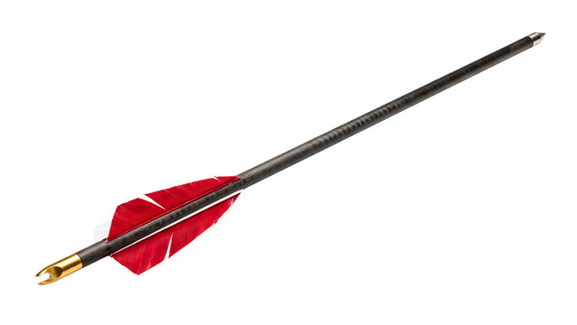 Isolated Carbon Archery Arrow with Red White Feather Fletching