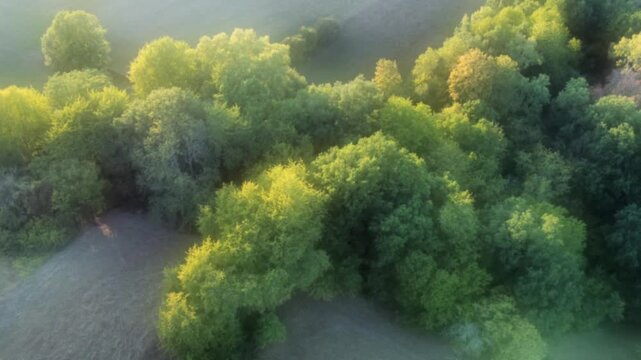 Drohne fliegt &uuml;ber gr&uuml;ne Bauminseln mit Laubb&auml;umen, Videoeffekt, Weichzeichner, Luftaufnahme