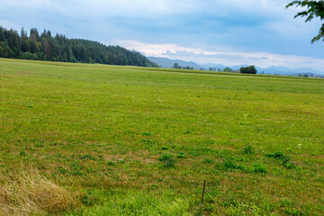 Naklejka premium Expansive green meadow leading to a dense forest and distant mountains under a cloudy sky.