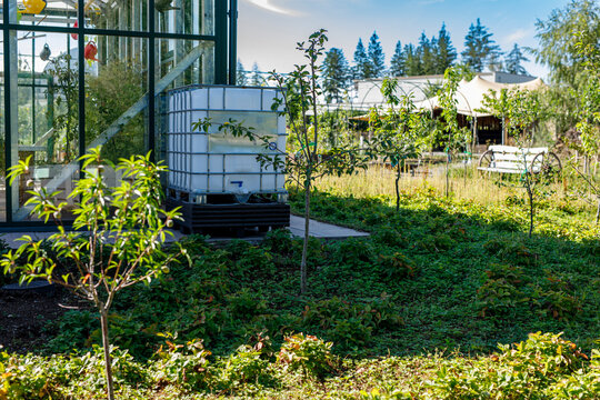 Greenhouse and rainwater harvesting tank in a vibrant, sustainable garden setting on a sunny day.