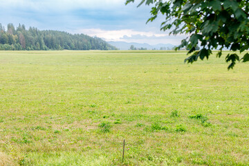 Naklejka premium Scenic view of a lush green field leading to a dense forest and distant mountains under a cloudy sky