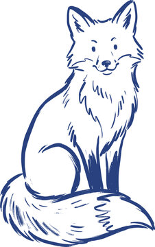 Fox Sitting Front View Line Art Illustration