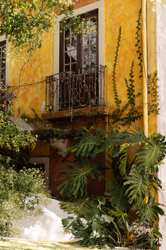 vibrant yellow traditional building with balcony framed with trees in Portugal