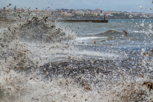 View of a powerful storm surge crashing against the rocky shore with seaweed swirling in the turbulent water, with the coastal town of Cascais in the background, Cascais, Lisbon, Portugal.