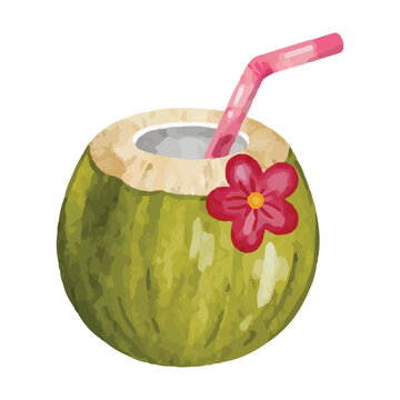 Watercolor Fresh Coconut Drink Illustration Isolated on White Background. Perfect for tropical, summer, beach, and beverage designs.