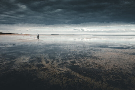 View of Vormsi island beach with a person walking a dog on the wet sand under a dramatic dark cloudy sky in Laane County, Estonia.