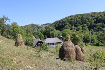 Romanian countryside view with an old house haystack and plenty of trees! © Dragos