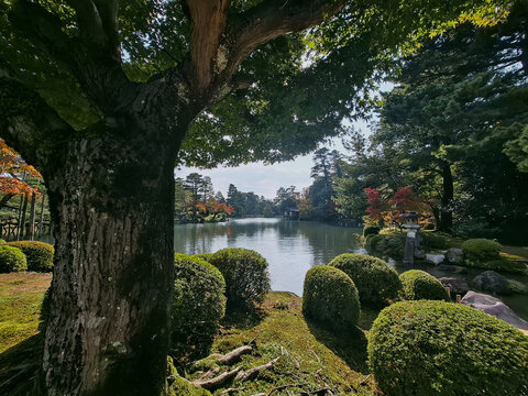 View of Kenrokuen Garden featuring a tranquil pond, manicured shrubs, and lush trees in Kanazawa, Ishikawa, Japan.