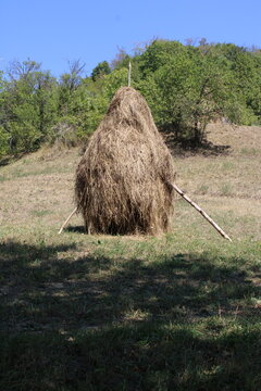 Traditional method to store the hay during summer in rural parts of the Romania