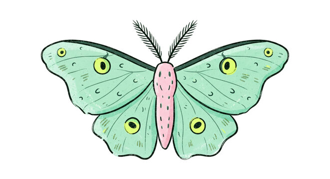Hand-Drawn Green Moth with Decorative Wing Patterns