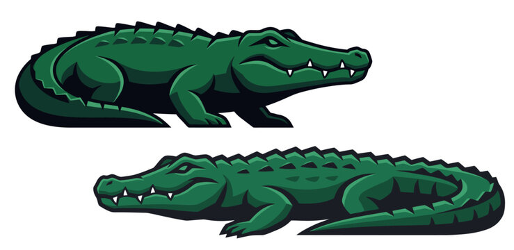 Green alligator mascot vector illustration, aggressive reptile logo design elements.