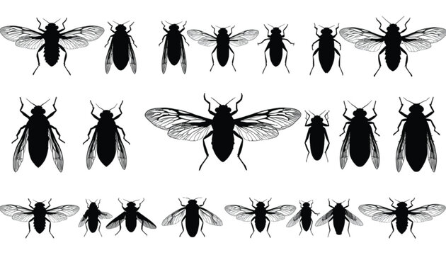 Silhouettes of various flies and small insects are arranged neatly in horizontal rows against a plain white background for graphic use.