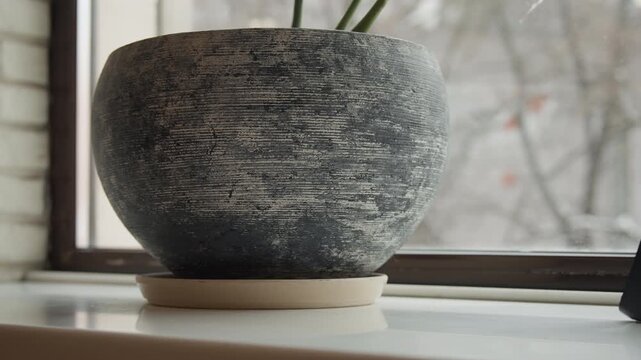 Close up of textured ceramic pot with plant on white windowsill. Background features frosted glass and brick wall soft natural light illuminates scene. Pot sits steadily without movement