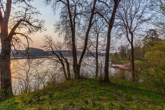 Beautiful scenic view of a forest lake with tree silhouettes at evening sunset