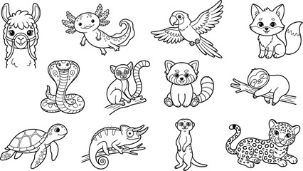 Naklejka premium Cute Tropical and Wild Animals Coloring Book Vector Set with Kawaii Axolotl Sloth Red Panda Chameleon Meerkat and Leopard for Kids Activity Sheets