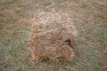 Single rectangular hay bale sitting on dry grass in an open field from a high angle view © WoodHunt