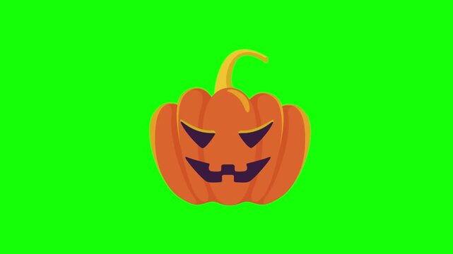 Jack o lantern pumpkin with a devilish smile isolated on a bright green screen for Halloween