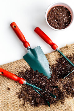 Plant flowers for garden. Tools spade, fork, hand cultivator, hoe and pot with soil on canvas and white background top view