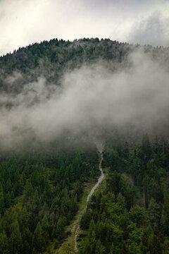 View of a narrow dirt path winding up a steep mountain slope covered in dense pine forests, partially obscured by thick low-hanging fog in Bled, Radovljica, Slovenia.