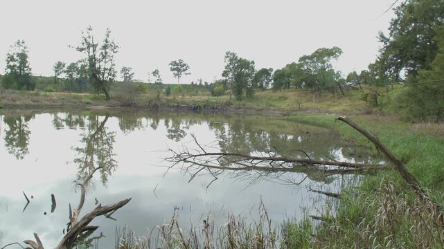 Footage of a small water reservoir surrounded by deteriorating bushland at the Yarramundi Reserve in the Hawkesbury region in New South Wales, Australia