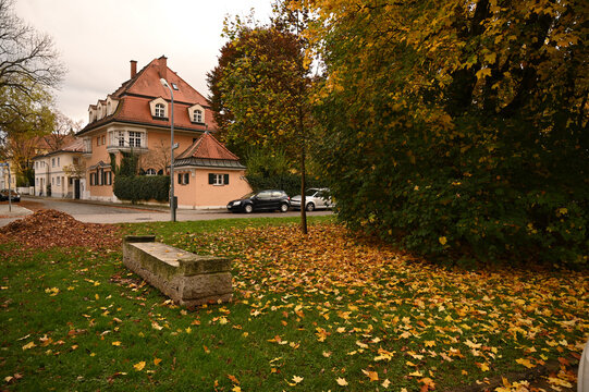 Cottage community autumn landscaping and site improvement