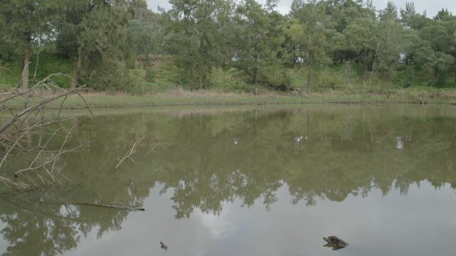 Footage of a small water reservoir surrounded by deteriorating bushland at the Yarramundi Reserve in the Hawkesbury region in New South Wales, Australia