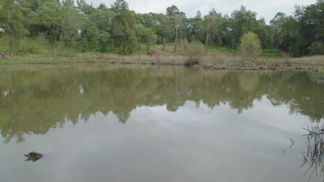 Footage of a small water reservoir surrounded by deteriorating bushland at the Yarramundi Reserve in the Hawkesbury region in New South Wales, Australia