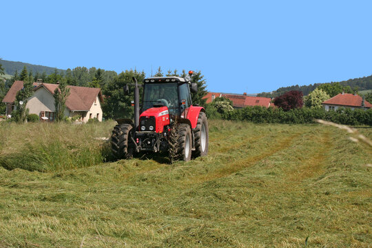 tracteur en pleine mission de coupe de la luzerne Massey Fergusson