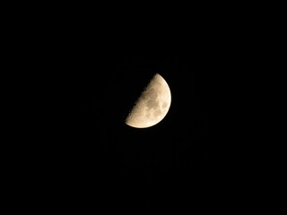 Half Moon in First Quarter Phase with Visible Craters, Night Sky Photography, Bangladesh © The Roaming Roots